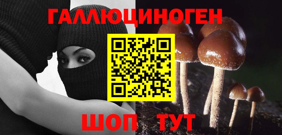 Санкт-Петербург  Псилоцибиновые грибы прущие грибы  наркошоп  Вход с VPN  Галлюциногенные грибы Psilocybine cubensis 